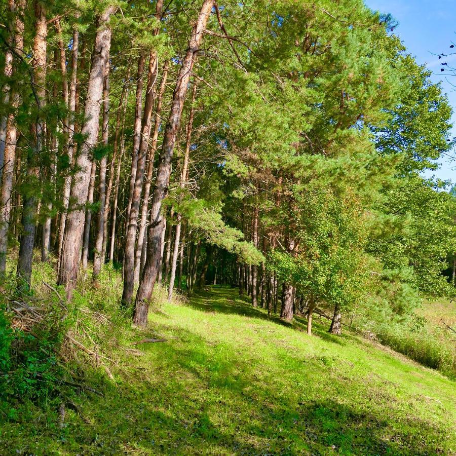 Bakony Deep Forest Vendeghaz