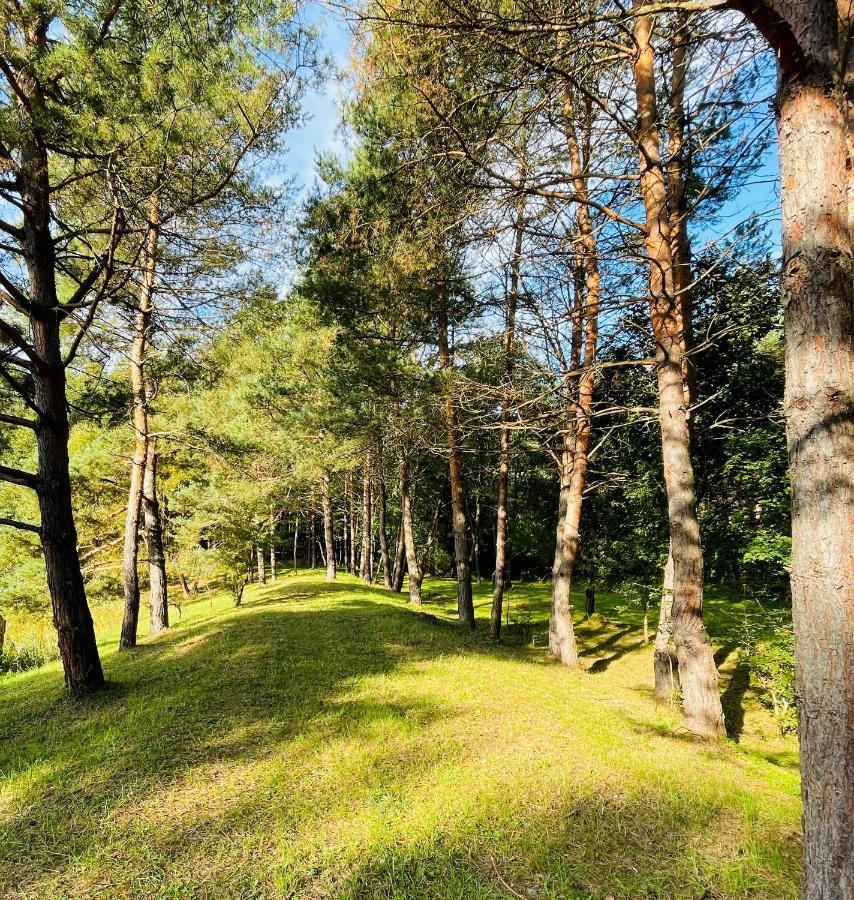 Bakony Deep Forest Vendeghaz Шале Bakonyszentlaszlo